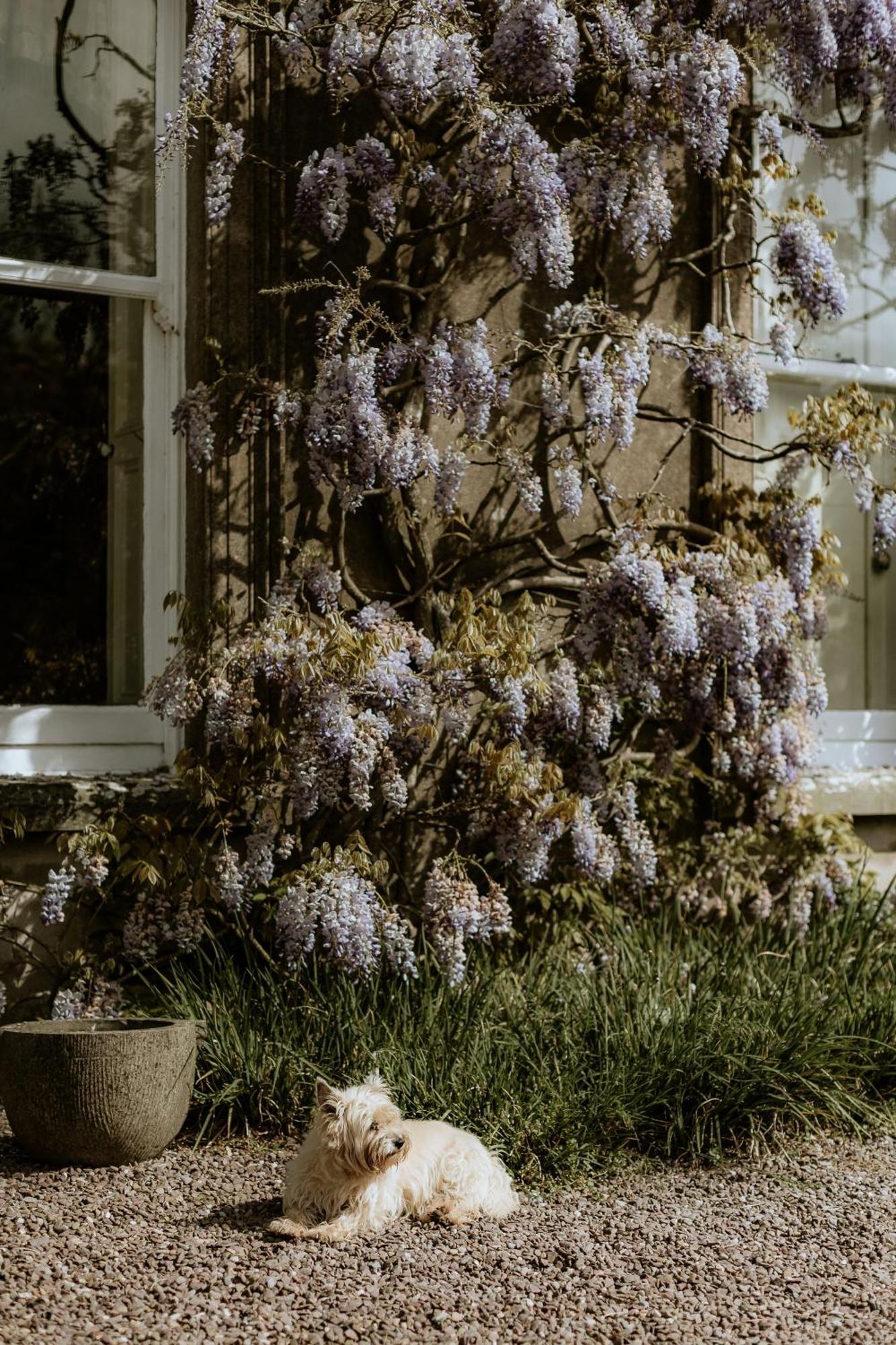 Ballyvolane House Fermoy Εξωτερικό φωτογραφία